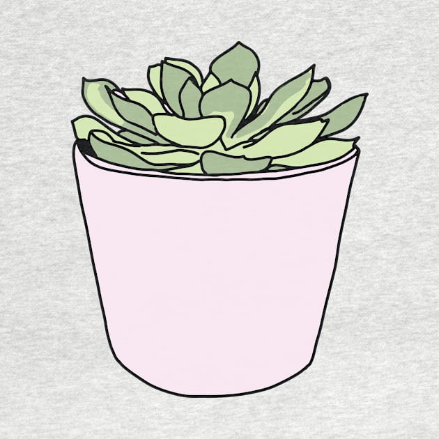 Green succulent in pink flowerpots by bigmoments